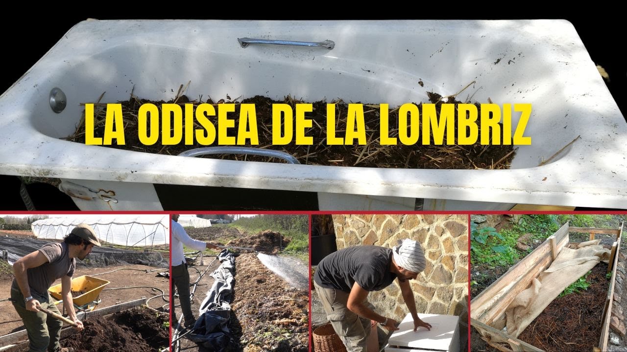 La odisea de la lombriz / Cómo crear tu propio banco de lombrices