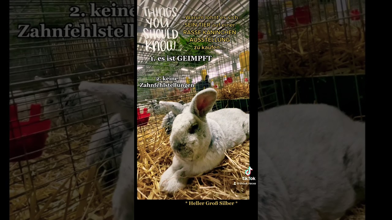 ❤️* Heller Groß Silber *