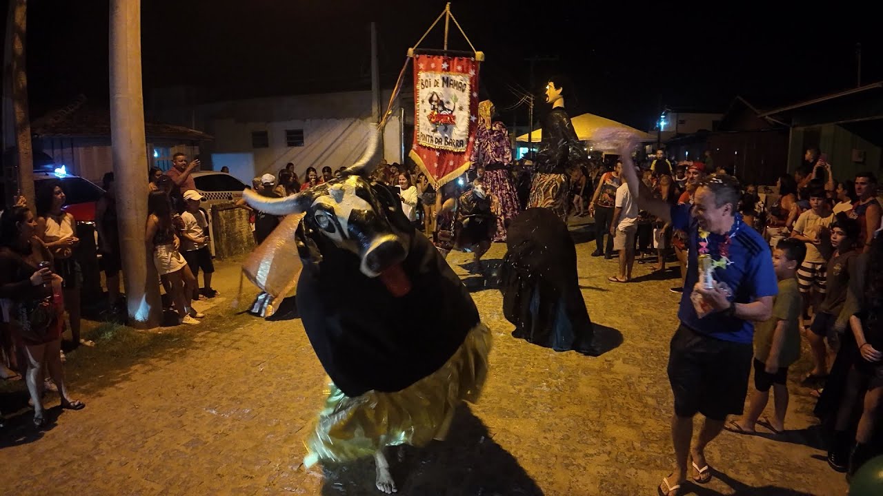 Boi de Mamão da Ponta da Barra no Carnaval 2025, Laguna / SC