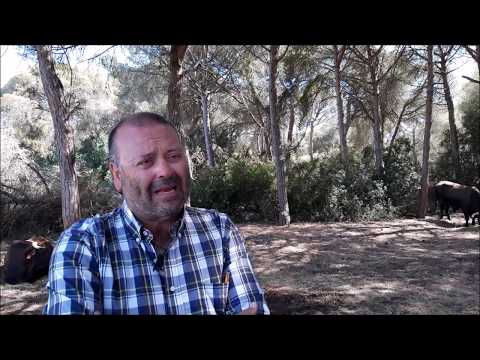 El Rocío. Gestión ambiental a su paso por la finca Marismillas del OAPN. Parque Nacional Doñana