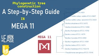 How to Construct a Phylogenetic Tree in MEGA 11: A Step-by-Step Guide screenshot 3