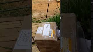 VID 20200729 WA0005