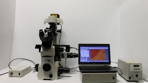 Nikon Eclipse TE2000-U Inverted Motorized Microscope Pred. to Ti-U Ti2 - 10425