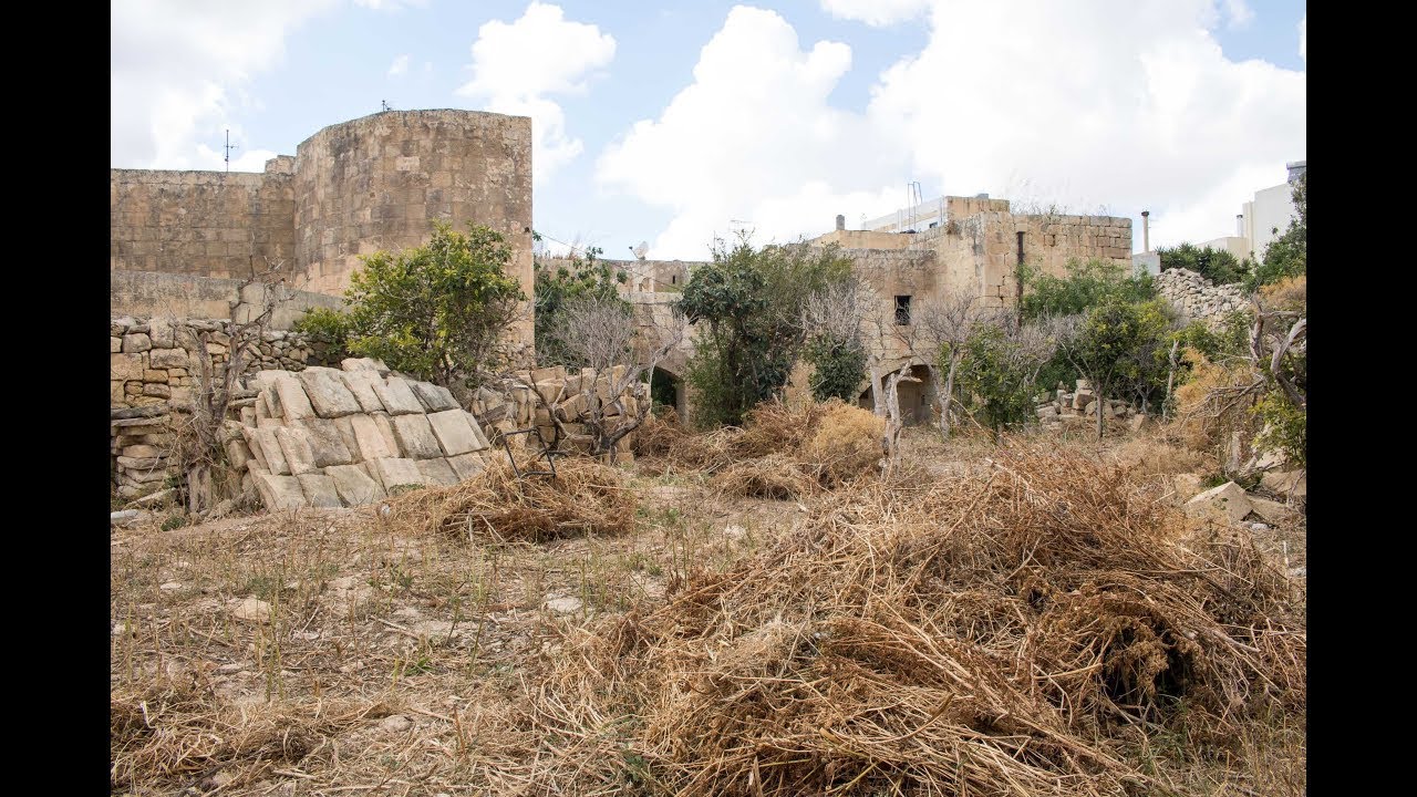 ZEBBUG UNCONVERTED HOUSE OF CHARACTER