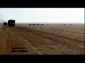 شدود مع البدو    تصوير شديد ابل المنصوري