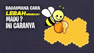 Bagaimana Cara Lebah Membuat Madu? Kok Bisa?