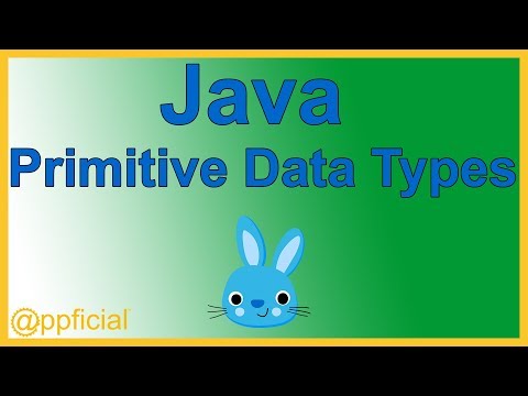 Java Primitive Data Types - byte short int long float double char and boolean - Java Tutorial