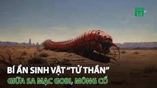 Bí ẩn sinh vật “tử thần” giữa sa mạc Gobi, Mông Cổ | VTC14