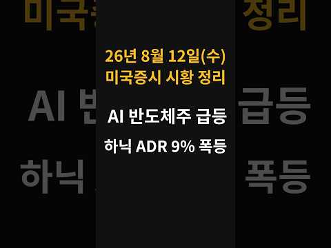 (8월 12일) 오늘 미국증시 요약 - 반도체 급등, 하이닉스 ADR 9% 폭등!