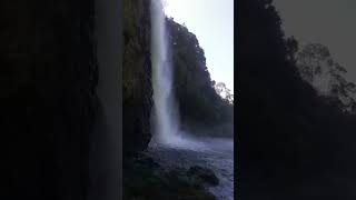 Waterfall at Hanua, Auckland newzealand auckland viral soothing meditation shorts viral