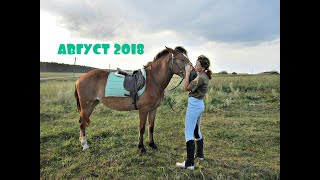 август 2018 || НАЧАЛО ЗАЕЗДКИ КОМЕТЫ || ПЕРВОЕ КУПАНИЕ С ВЕНЕЦИЕЙ