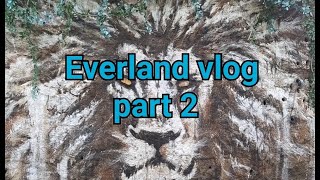 ЗООПАРК В КОРЕЕ | Everland часть 2 | HITOK