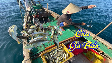 Câu cá nóc gà biển đặc sản của ngư dân - Dân Biển
