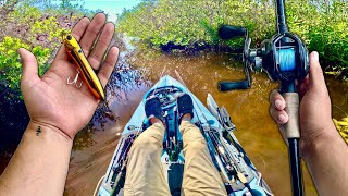 Summer Topwater Fishing in REMOTE Florida Creeks!