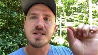 Effluent Filters Explained: What They Are and How They Work