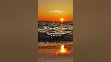 سورة الشمس ❤️🫀🤍#قرآن #قران_كريم #memes #foryou #fyp #دويتو #لايك #اكسبلور #راحة_نفسية #capcut #مصر