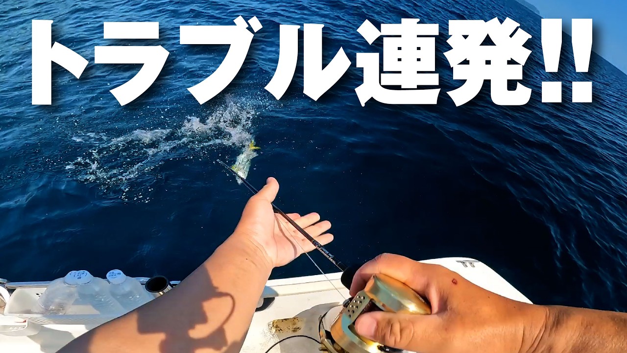 Targeting Blue Fish in the Sea of Japan in Early Summer