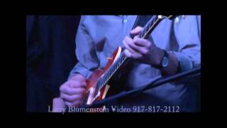 Video thumbnail of "Jon Herington Trio Featuring The Steely Dan Singers- Pretzel Logic"