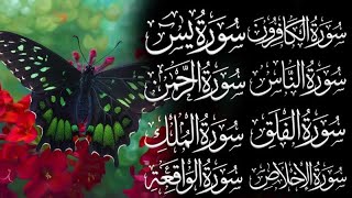 🔴Ayat Kursi 7x, Surah Ar-Rahman, Yasin, Al-Waqiah, Al-Mulk, Fatihah, Ikhlas, Falaq, An-Nas by Saad A