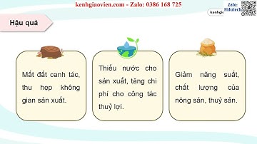 Giáo án PPT CĐ1 P3 Tác động & hậu quả của biến đổi khí hậu ... | GA điện tử chuyên đề Địa lí 10 KNTT