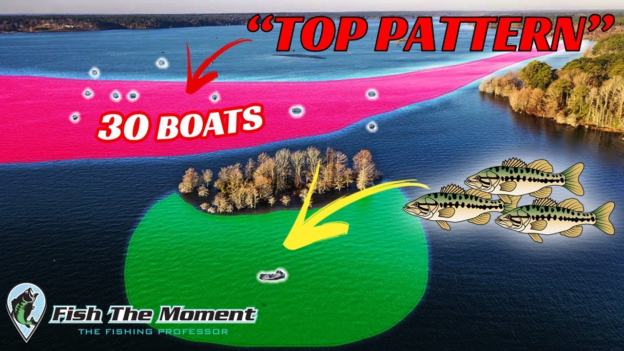 Avoid The Crowds – Fish These Overlooked Areas That Are Full of Bass