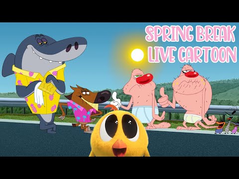 Live Spring Break Oggy And The Cockroaches | Zig And Sharko | Where's Chicky