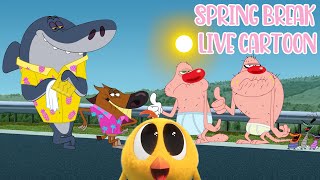 🔴 LIVE SPRING BREAK 🌸  OGGY AND THE COCKROACHES |  ZIG AND SHARKO |  WHERE'S CHICKY