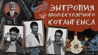 Энтропия молекулярного котангенса. Семинар №1