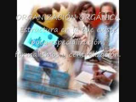 DISEO ORGANIZACIONAL EQUIPO LORENA SANTOS.wmv