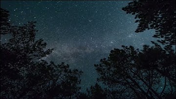 سورة الفاتحة وسورة المزمل كاملة..تلاوة تهز القلوب بصوت إمام المسجد الحرام القارئ الشيخ ياسر الدوسرى