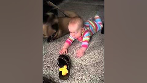 Common crawl 8.5 months