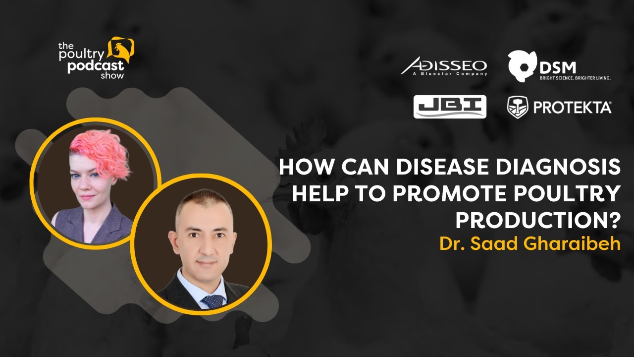 Dr. Saad Gharaibeh: Disease Diagnosis in Poultry | Ep. 01
