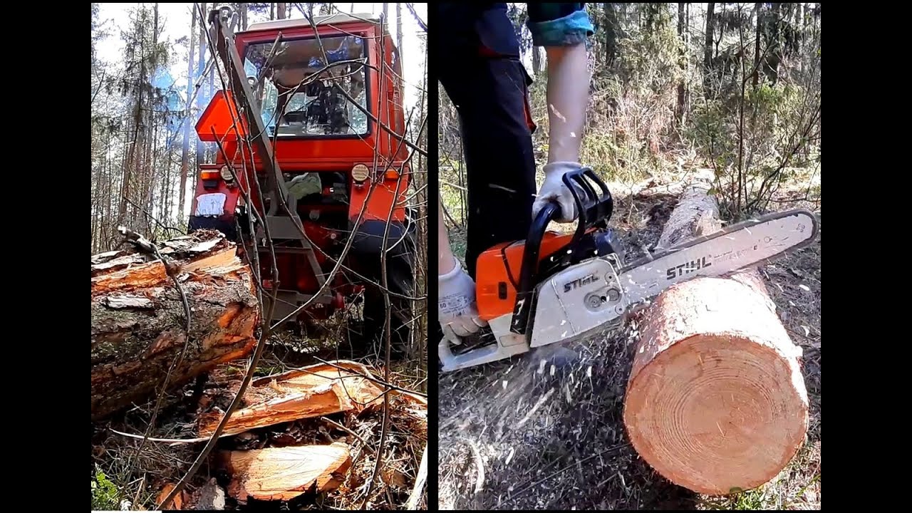 Wycinka i transport drewna budowlanego/opałowego | 2023