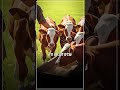 פרשת פנחס: הרב בניהו בן דוד - רגע! אולי נחשוב שוב?