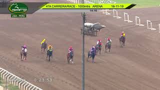 Vidéo de la course PMU THOROUGHBRED DIRT