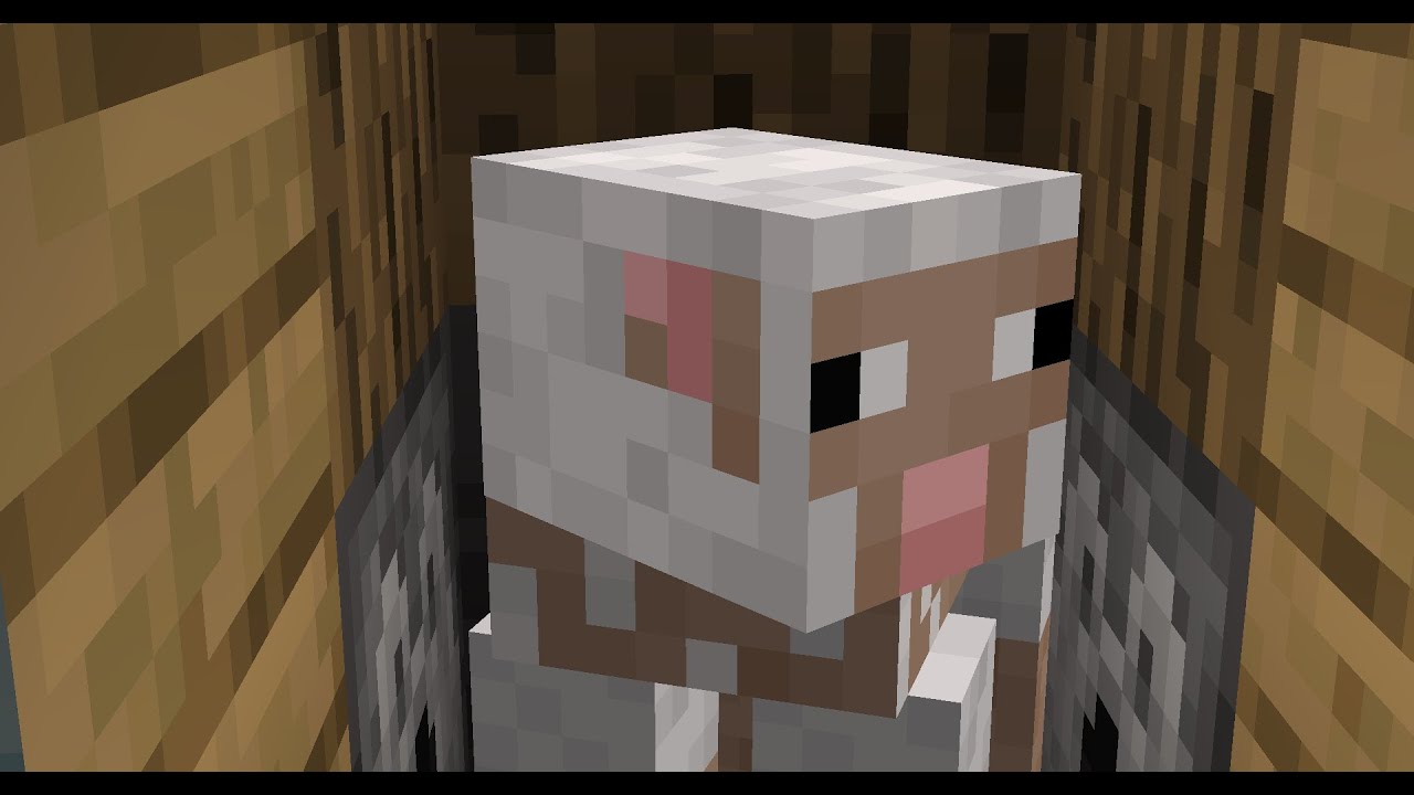 Watching Sheep Grow Wool While I Sleep YouTube watching-sheep-grow-wool-while-i-sleep-youtube