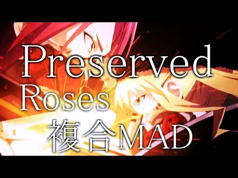 複合MAD✘Preserved Roses