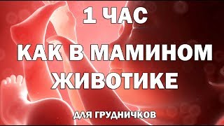 1 час: Как в мамином животике. Звуки в утробе матери. Для успокоения и сна