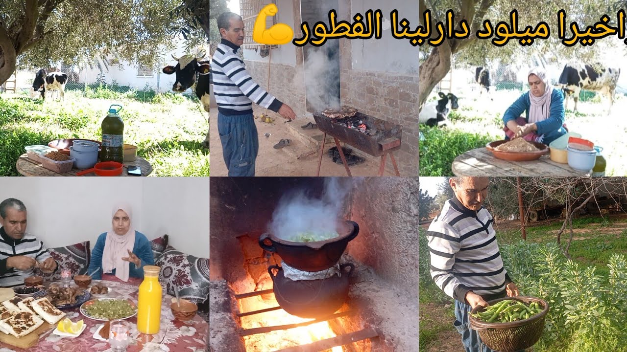 هذا النهار عاد حن الله على سلو ديالي 😂 درتو ودرت هذا الفول الطري جا روعة😍🫶