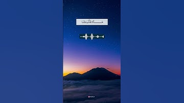 القرآن غذاء الروح . . القارئ محمد صديق المنشاوي
