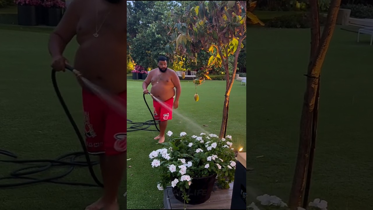 Let's Watering 💦 DJ khaled - Best Lifestyle 