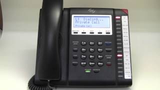 ESI 45SIP  Phone: Private Call