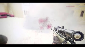 Money Trees | By Tadji