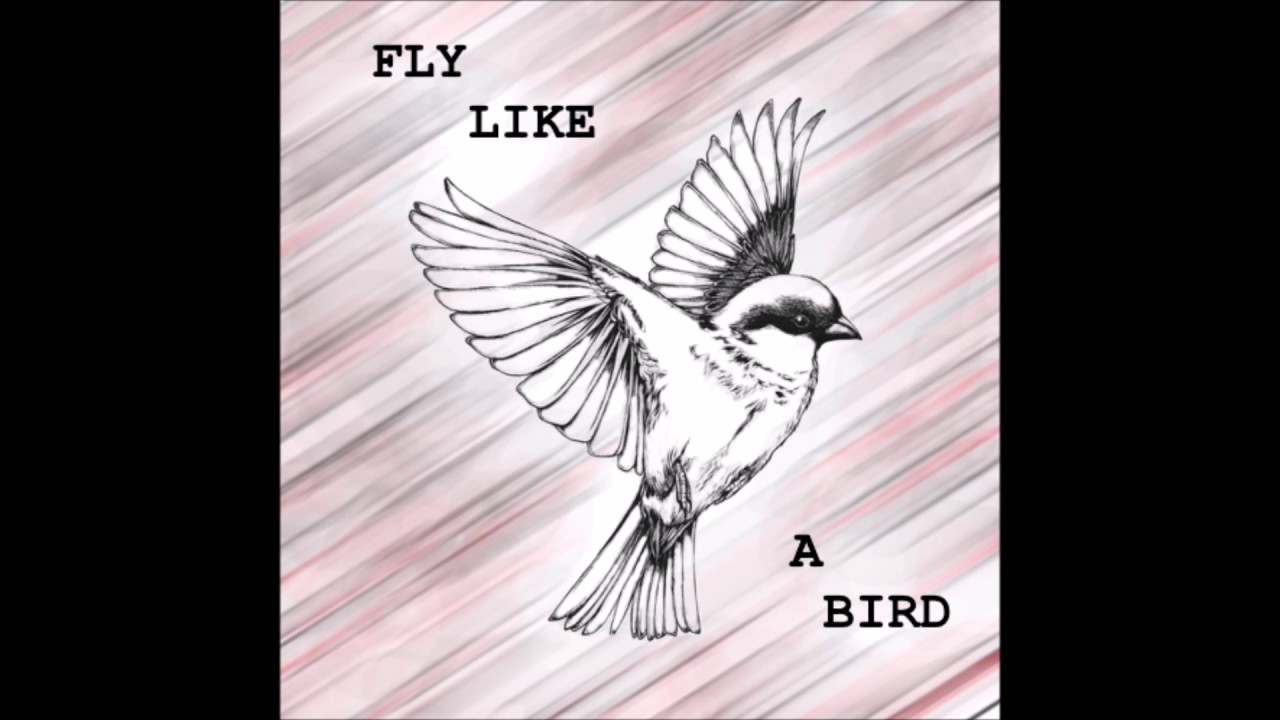 fly like a bird on game fare fly like a bird on game fare