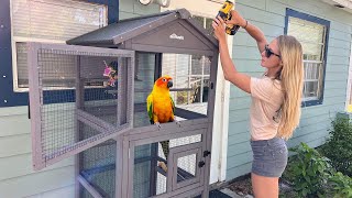 Building the Ultimate BIRD CAGE (Aivituvin) Vlog