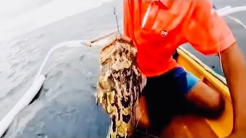 Câu cá biển độc đáo bằng dây và tay không #caucabien #khamha #thinhhanhyoutube #xuhuongyoutube