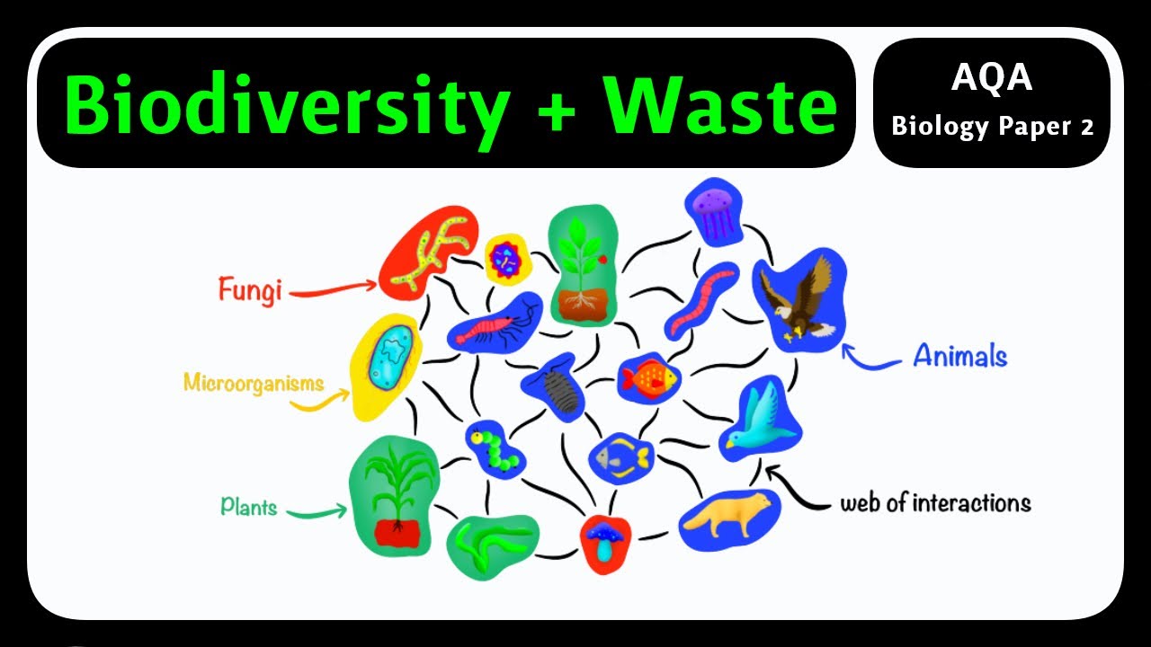 GCSE Biology AQA - Biodiversity & Waste Management | Human Impact Guide [2026 exam]