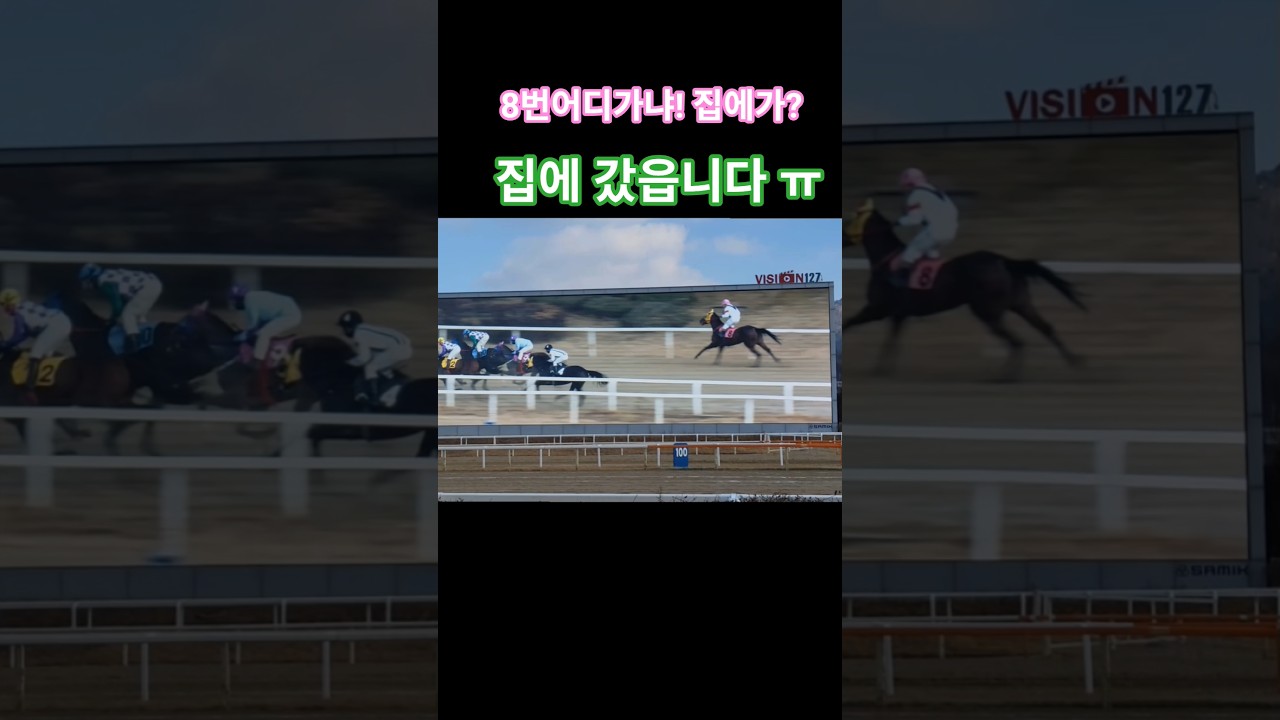 뛰다가 집으로?#경마 #말 #달려라말 #shorts #horse