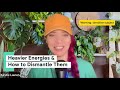 Heavier energies &amp; how to dismantle them / soul fragments 