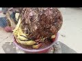 M258 gl cây cơm nguội 350k LH 0707713796 Khương bonsai 